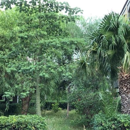 אבולה Pantanello Apartment מראה חיצוני תמונה