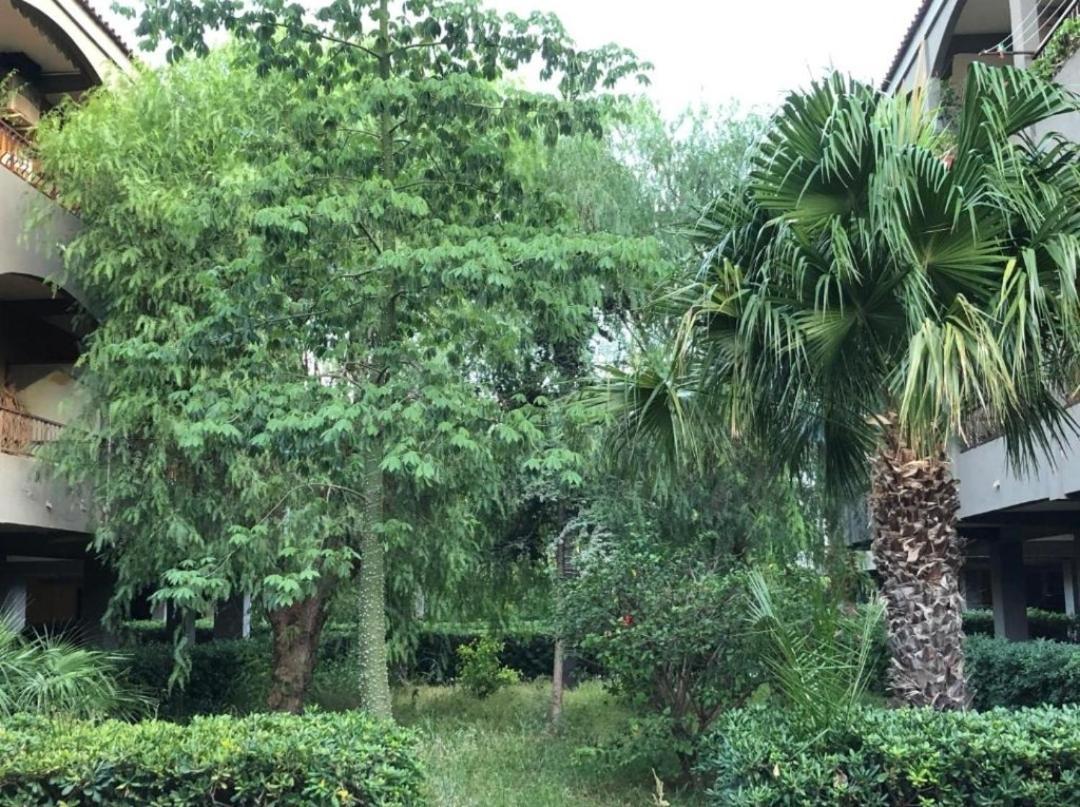 אבולה Pantanello Apartment מראה חיצוני תמונה